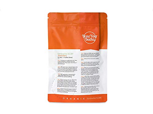 Brew Your Bucha Kobucha SCOBY con Starter Fluid. SCOBY cultivado con azúcar y té de oro negro Yunnan (1 SCOBY)