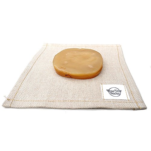 Brew Your Bucha Kobucha SCOBY con Starter Fluid. SCOBY cultivado con azúcar y té de oro negro Yunnan (1 SCOBY)