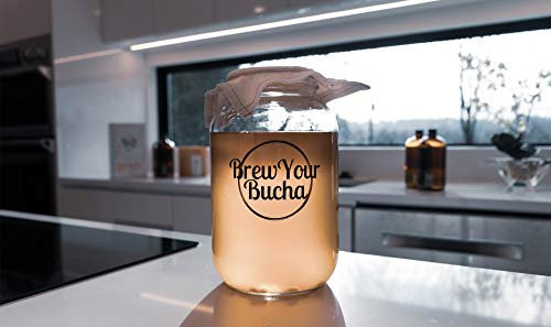 Brew Your Bucha Kobucha SCOBY con Starter Fluid. SCOBY cultivado con azúcar y té de oro negro Yunnan (1 SCOBY)