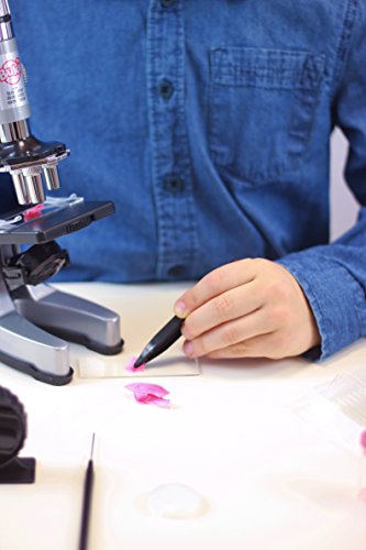 Buki France MS907B - Microscopio 30 Experimentos