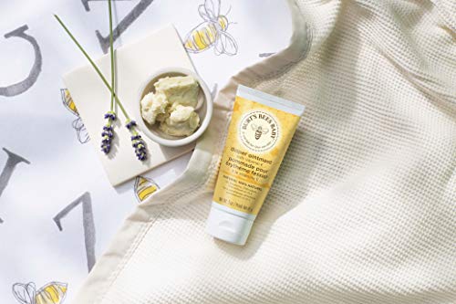 Burt's Bees Baby™ Pomada para la irritación del pañal - 85 g