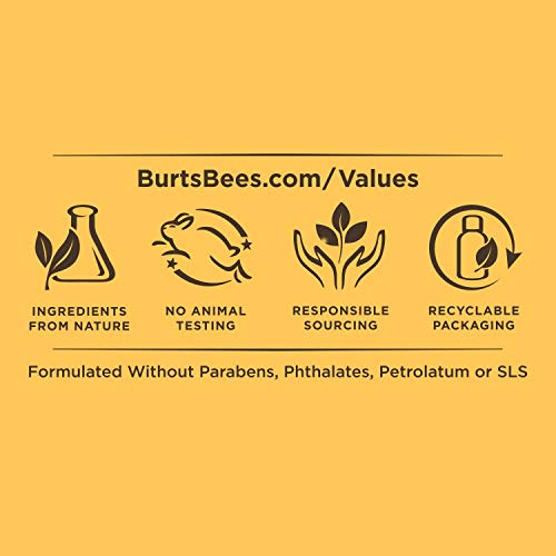 Burts Bees, Regalo para el cuidado de la piel - 1 unidad