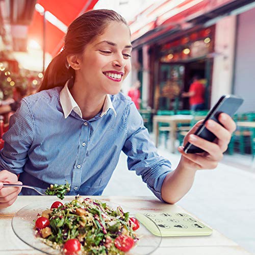 Caja de Almacenamiento de Máscaras,Caja Portátil de Cara Máscara de Algodón Contenedor,Plástico Carpeta Reutilizable,A prueba de Polvo Fácil de llevar Máscaras de Protección Funda Organizador (3PCS)