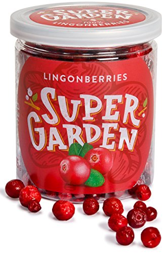 Caja de merienda de Supergarden - Frutas y Bayas Liofilizadas (Frutas del bosque)