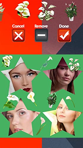 Calla Photo Collage Maker