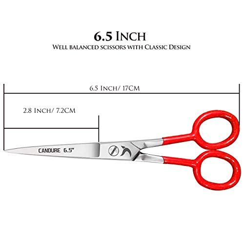 Candure Peluquería Tijera Barbero Salón 6.5 Inch Peluquería Tijera Set de Regalo