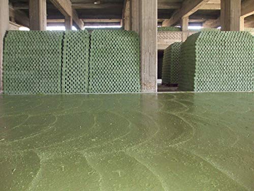 Carone Jabón de Aleppo 16% Aceite de Laurel - 200 G