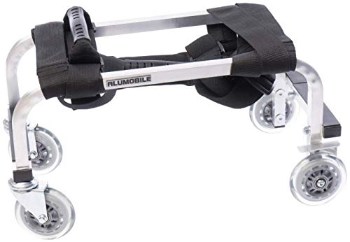 Carro Porta Camilla de Masaje para Profesionales - Estructura de Aluminio Liviano, Duradero, sólido y de Alta Movilidad - 3 años de garantía.