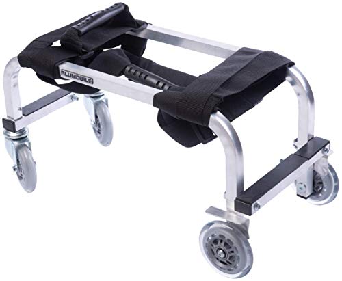 Carro Porta Camilla de Masaje para Profesionales - Estructura de Aluminio Liviano, Duradero, sólido y de Alta Movilidad - 3 años de garantía.