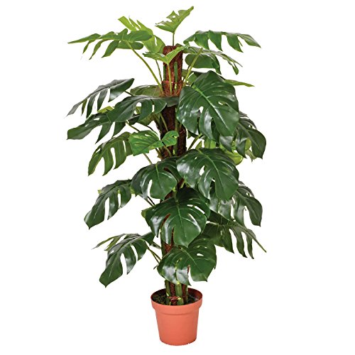 Catral 74010020 Planta artificial Monstera, 22.0x22.0x145.0 cm