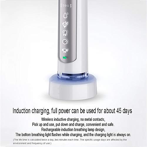 Cepillo de dientes eléctrico Adulto Hogar recargable Ultrasónico Cepillo de dientes Blanco brillante Cepillo de dientes inteligente Pelo suave (5 tipos de modo de vibración) (Color : Blanco)