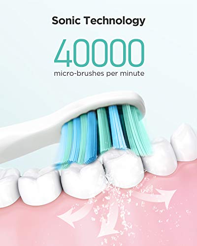 Cepillo de dientes eléctrico fairywill recargable con sonico tecnología,cepillo dental electrico impermeable fw-507 blanco.