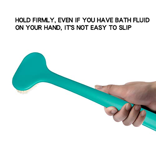 Cepillo de Ducha Naturales y Largo Mango del Cuerpo Cepillo Exfoliación Masajee Limpiar Espalda y Euerpo para Hombres Mujeres, Verde