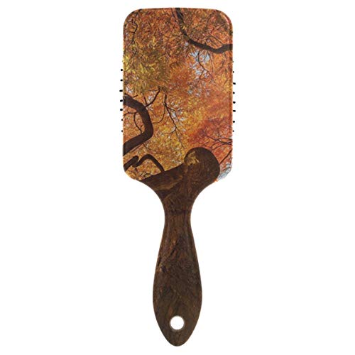 Cepillo de pelo con cojín de aire, árbol colorido de plástico como mujeres embarazadas, masaje y cepillo de pelo desenredante antiestático