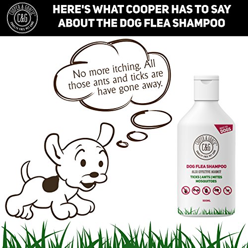 Champú antipulgas para perros, producto de aseo para piel sensible antipicazón de perro y cachorro, tratamiento médico contra pulgas, 500 ml