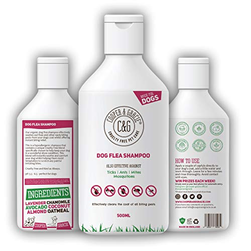 Champú antipulgas para perros, producto de aseo para piel sensible antipicazón de perro y cachorro, tratamiento médico contra pulgas, 500 ml