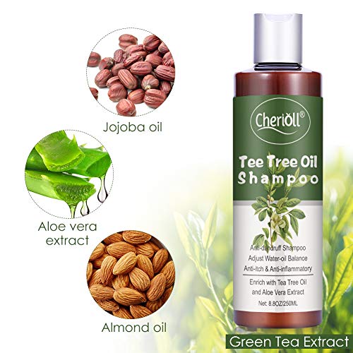 Champú de árbol de té, Champú AntiCaspa de Aceite de Arbol de Te, limpieza profunda de caspa, El cuero cabelludo seco y el cabello con picazó