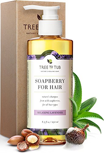 Champú orgánico para cabello seco, el único champú de lavanda equilibrado, para piel sensible, champú hidratante para hombres, mujeres y niños. Con bayas de jabón frescas y ecológicas