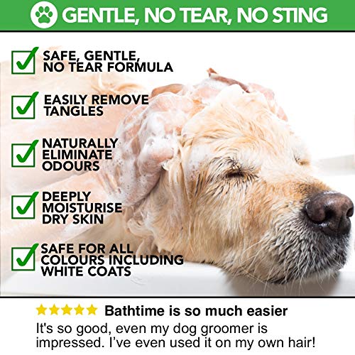 Champú para perro completamente natural olor a polvos de talco para bebé | 500ml | Champú perfumado para acicalar a su perro | El mejor champú para mascotas para un lavado sano, seguro y sin picazón