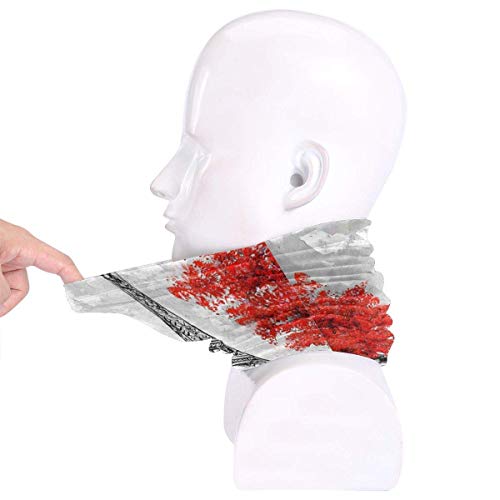 chenguang4422 París, unisex, microfibra, calentador de cuello, sombreros, bufanda, máscara para invierno, máscara de clima frío, pasamontañas, pasamontañas