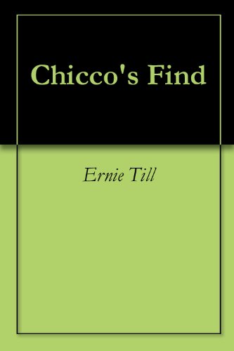 Chicco's Find (English Edition)
