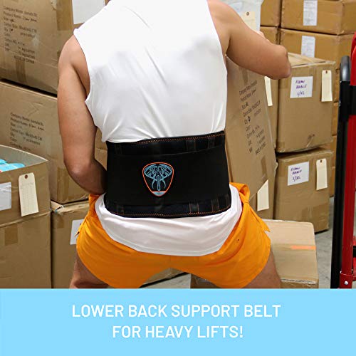 Cinturón Soporte Lumbar por Everyday Medical I Cinturon Lumbar Prevenir Daños para Hombres y Mujer I Faja Lumbar para la Espalda y Terapia de Postura I Ajuste Dual I Lumbar Support Brace I S/M