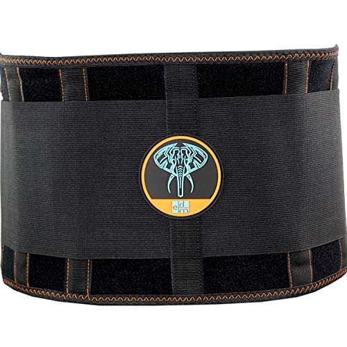 Cinturón Soporte Lumbar por Everyday Medical I Cinturon Lumbar Prevenir Daños para Hombres y Mujer I Faja Lumbar para la Espalda y Terapia de Postura I Ajuste Dual I Lumbar Support Brace I S/M