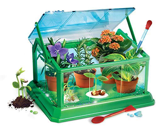 Clementoni 69490 Galileo Science - Mi primer invernadero, jardinera y semillas para pequeños jardineros y botánicos, juguete para niños a partir de 8 años