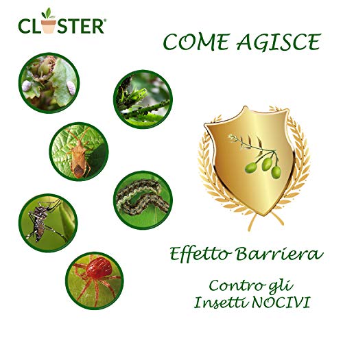 CLOSTER® Set Jabón Potasico y Aceite de Neem para Plantas Insecticida Natural Mosquitos Chinches Pulgones Cochinilla Piojos Desinfestante Biodegradable Efectivo sin Residuos Ecológico (2x250ML Puro)
