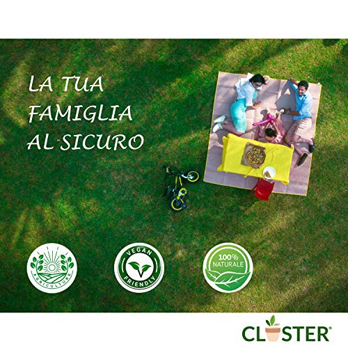 CLOSTER® Set Jabón Potasico y Aceite de Neem para Plantas Insecticida Natural Mosquitos Chinches Pulgones Cochinilla Piojos Desinfestante Biodegradable Efectivo sin Residuos Ecológico (2x250ML Puro)