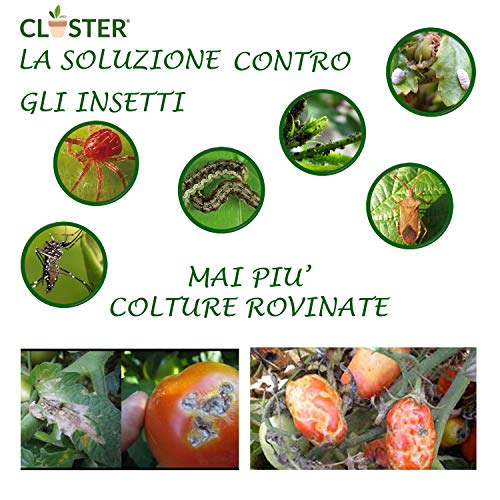 CLOSTER® Spray Jabón Potasico Listo para Usar Insecticida Natural Mejora Defensas Naturales de Las Plantas contra los Insectos Pulgones Chinches Flores Rosas Verdes Plantas Aromáticas Fruta (500 ML)