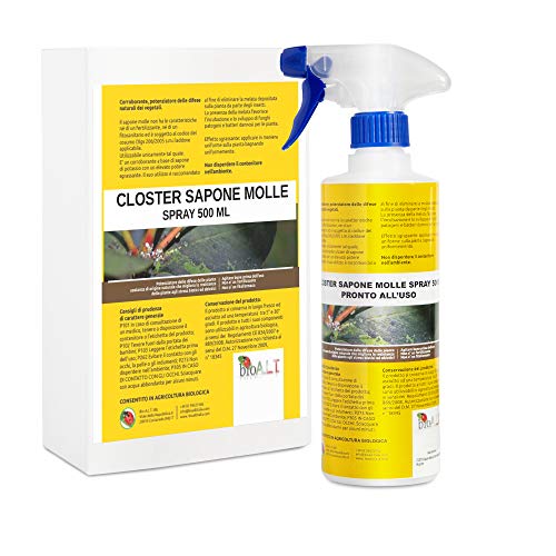 CLOSTER® Spray Jabón Potasico Listo para Usar Insecticida Natural Mejora Defensas Naturales de Las Plantas contra los Insectos Pulgones Chinches Flores Rosas Verdes Plantas Aromáticas Fruta (500 ML)