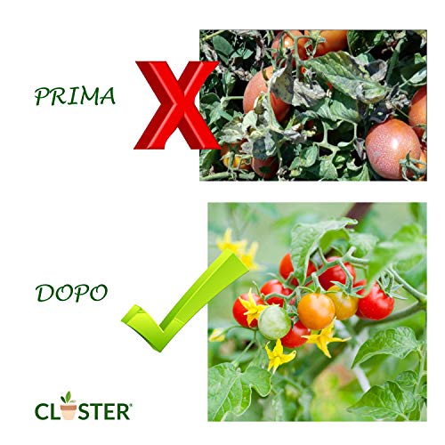 CLOSTER® Spray Jabón Potasico Listo para Usar Insecticida Natural Mejora Defensas Naturales de Las Plantas contra los Insectos Pulgones Chinches Flores Rosas Verdes Plantas Aromáticas Fruta (500 ML)