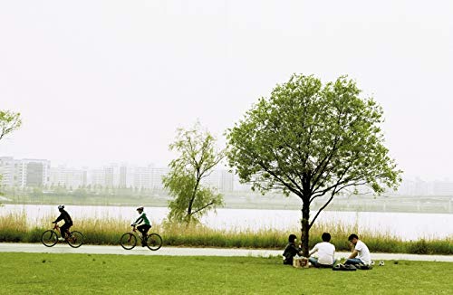 Cocina coreana: La comida más deliciosa es la que se comparte (Sabores)