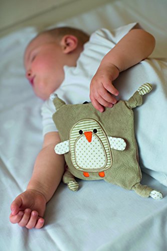 Cojín de semillas para cólicos del lactante