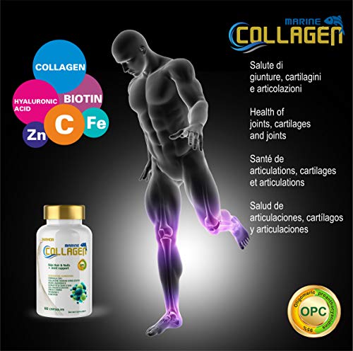 COLÁGENO MARINO con ÁCIDO HIALURÓNICO Biotina Zinc Hierro Vitamina C Huesos Articulaciones