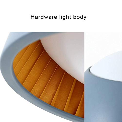 Colgante de techo Lámpara de sombra Lámpara de acrílico Sola cabeza Macaron simple Lámpara Led (Tamaño: 48.5cmx25cm)