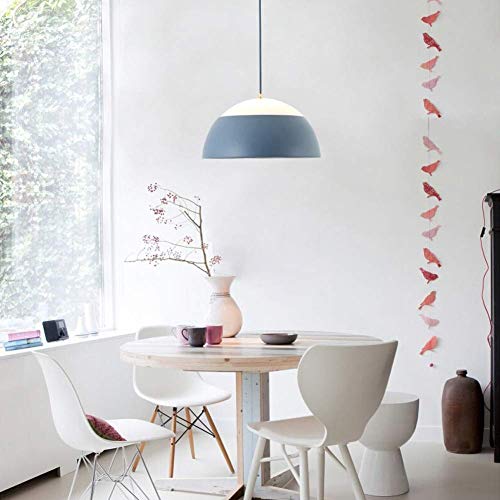 Colgante de techo Lámpara de sombra Lámpara de acrílico Sola cabeza Macaron simple Lámpara Led (Tamaño: 48.5cmx25cm)