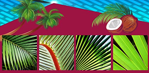 Collage de fotos de Palm