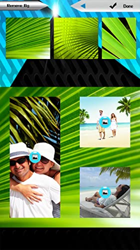Collage de fotos de Palm