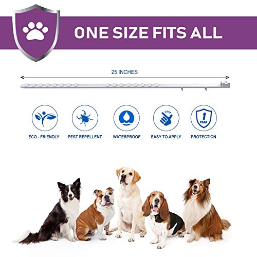 Collar Antiparasitos para Perros y Gatos, contra Pulgas Garrapatas y Mosquitos, Ajustable a Prueba de Agua, una solución Natural para la prevención de plagas, 8 Meses Talla única