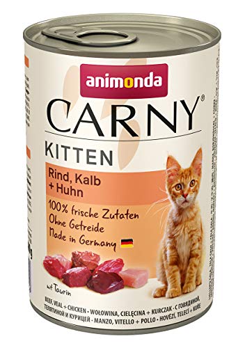 Comida húmeda para gatos jóvenes Carny de Animonda