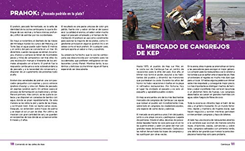 Comiendo en las calles de Asia: Recetas e historias de Hanói a Singapur (Sabores)