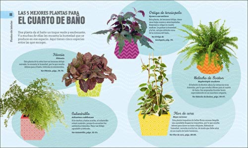 Cómo no matar tus plantas: Consejos y cuidados para que tus plantas sobrevivan (Estilo de vida)