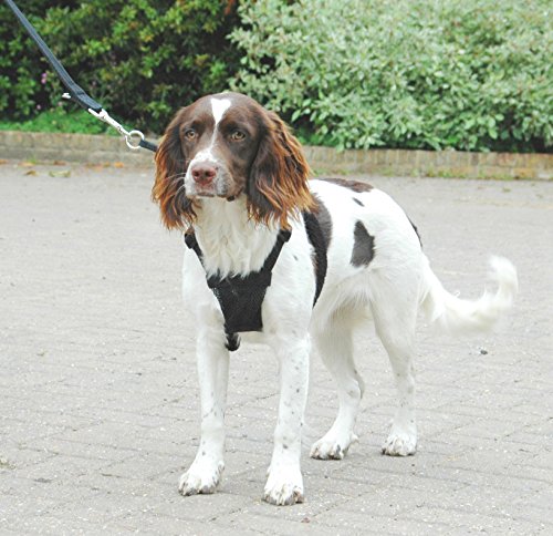 Company of Animals HALTI No-Pull Harness Medium