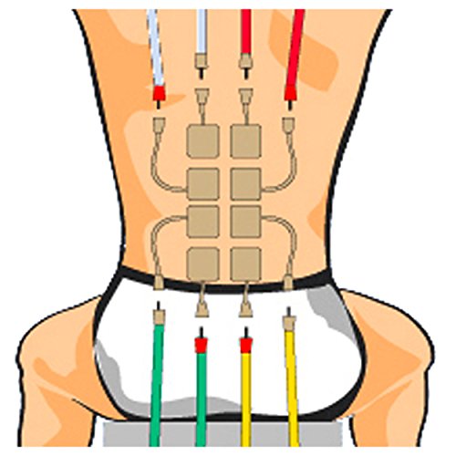 Compex PERFORMANCE - Eléctrodos Auto-adhesivos, 4 unidad