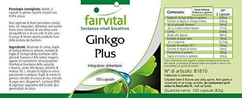 Complejo de Ginkgo - Ginkgo Biloba + Colina + Ácido Alfa Lipoico + Piperina + Melisa + Ortiga - VEGANO - Dosis elevada - 100 Cápsulas - Calidad Alemana