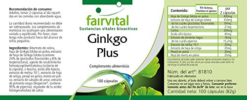 Complejo de Ginkgo - Ginkgo Biloba + Colina + Ácido Alfa Lipoico + Piperina + Melisa + Ortiga - VEGANO - Dosis elevada - 100 Cápsulas - Calidad Alemana
