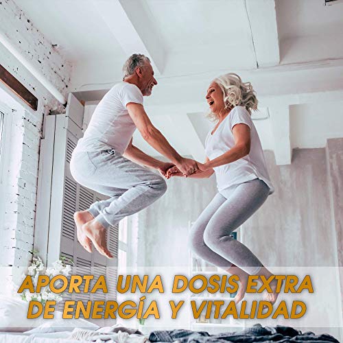 Complejo multivitamínico potente a base de vitaminas y minerales | Vitaminas A, B, B6, B12, B9, C, D, E y minerales | Energía y vitalidad | Protege el sistema inmunitario | 30 cápsulas