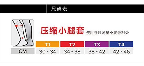 COMPRESSPORT R2 V2 Perneras, Hombre, Negro, TCH